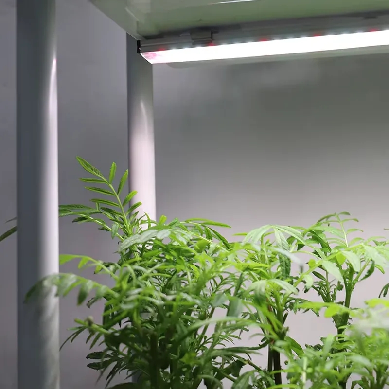 Vertical Planter - Movable Vertical Grow 3 Level Self