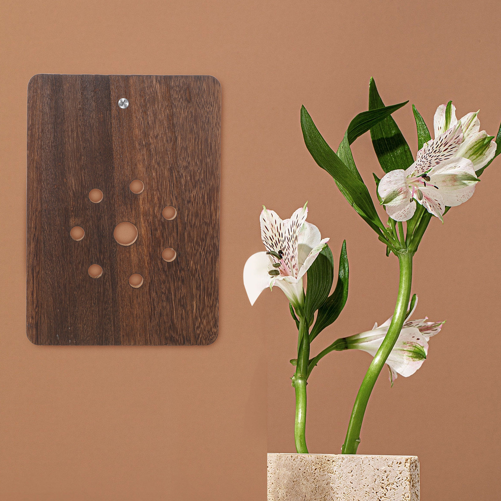 Vertical Planter - Staghorn Fern Mounting Board Shield Shape
