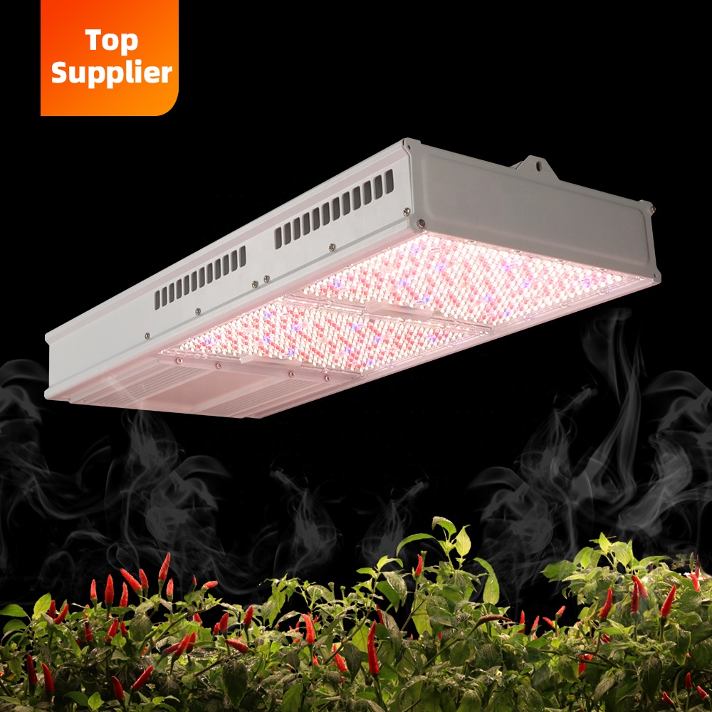 Cost-Effective 600W 800W Topli - Grow Light Led recension och pris