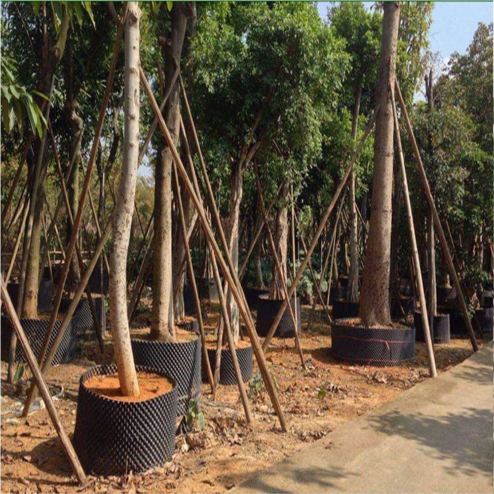 Grow Container Garden Tree Bon - Plant Pot recension och pris