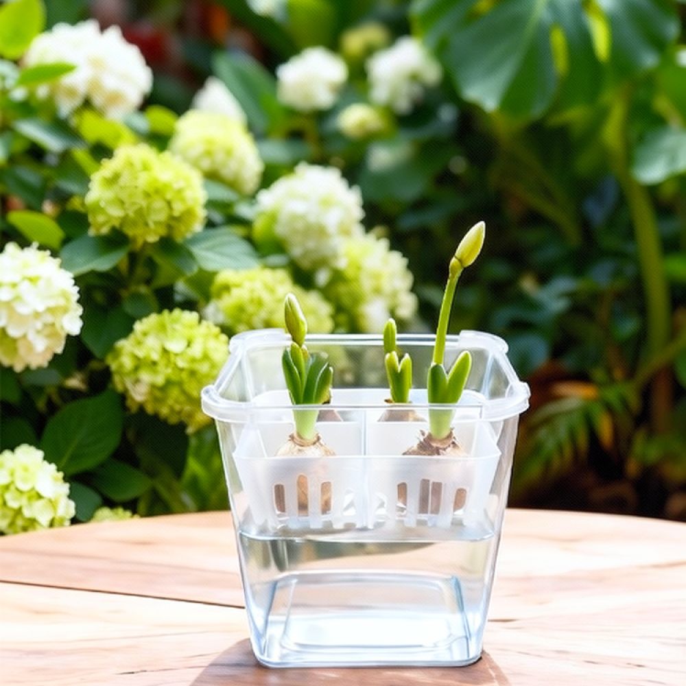 Hydroponic Vase For Tulip Lily - Plant Pot recension och pris