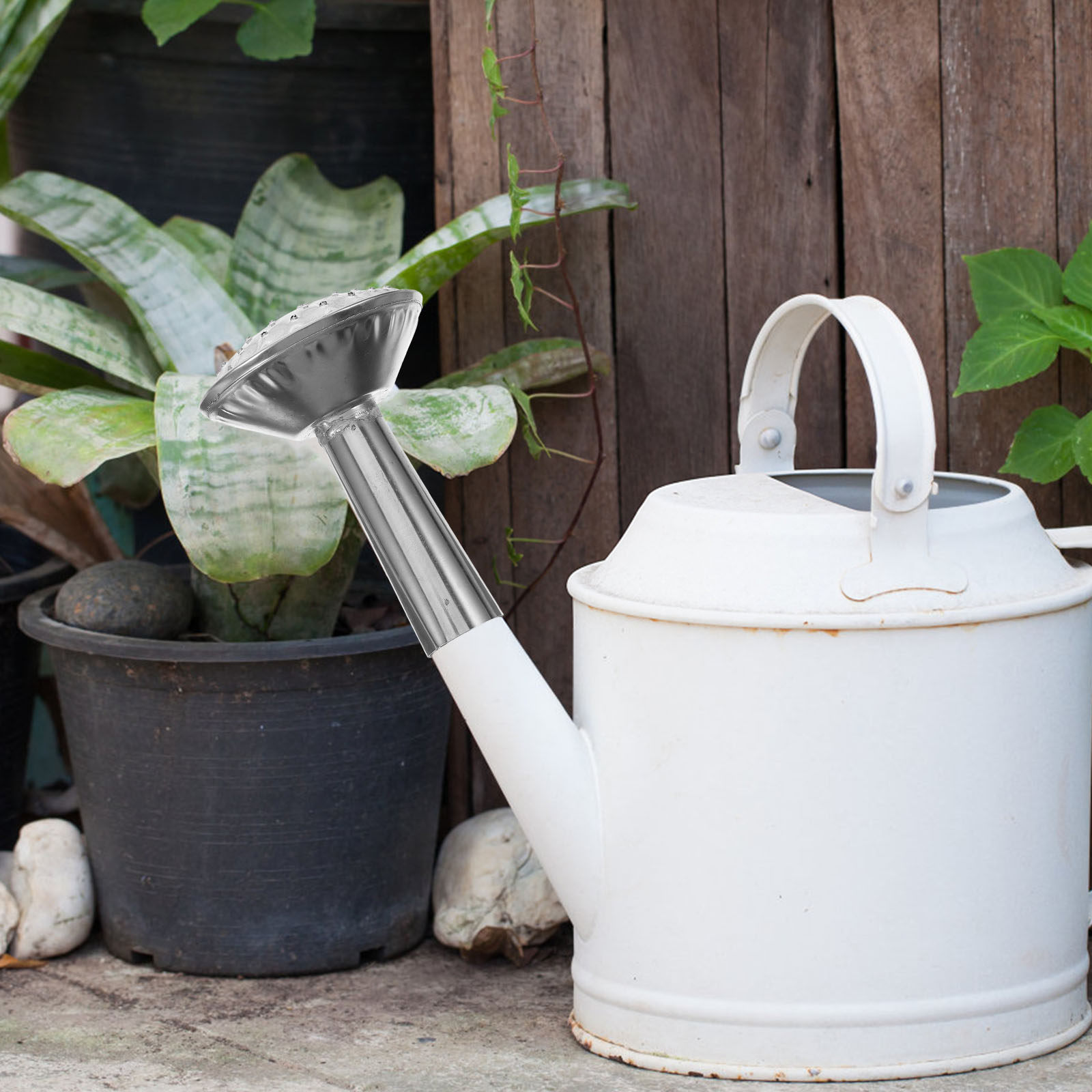 Stainless Steel Watering Can S - Watering Can recension och pris