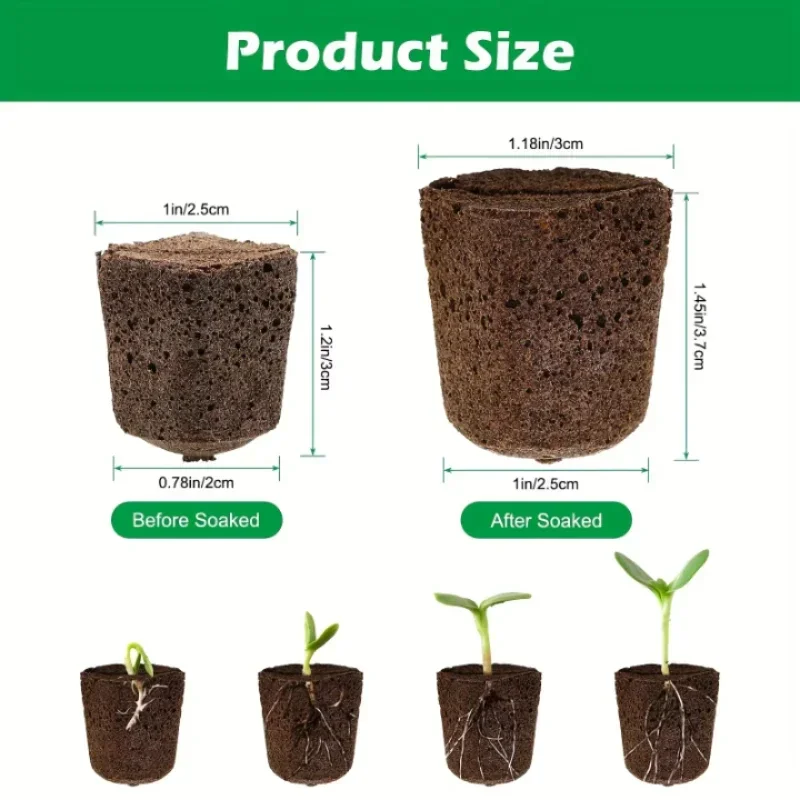 Seedling Starter Sponge Kit fo - Hydroponic Kit recension och pris
