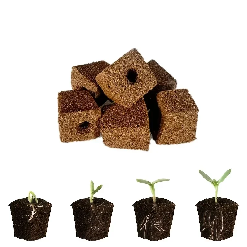Seedling Starter Sponge Kit fo - Hydroponic Kit recension och pris