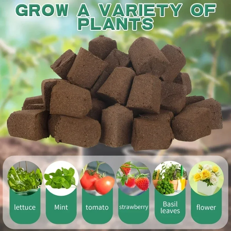Seedling Starter Sponge Kit fo - Hydroponic Kit recension och pris