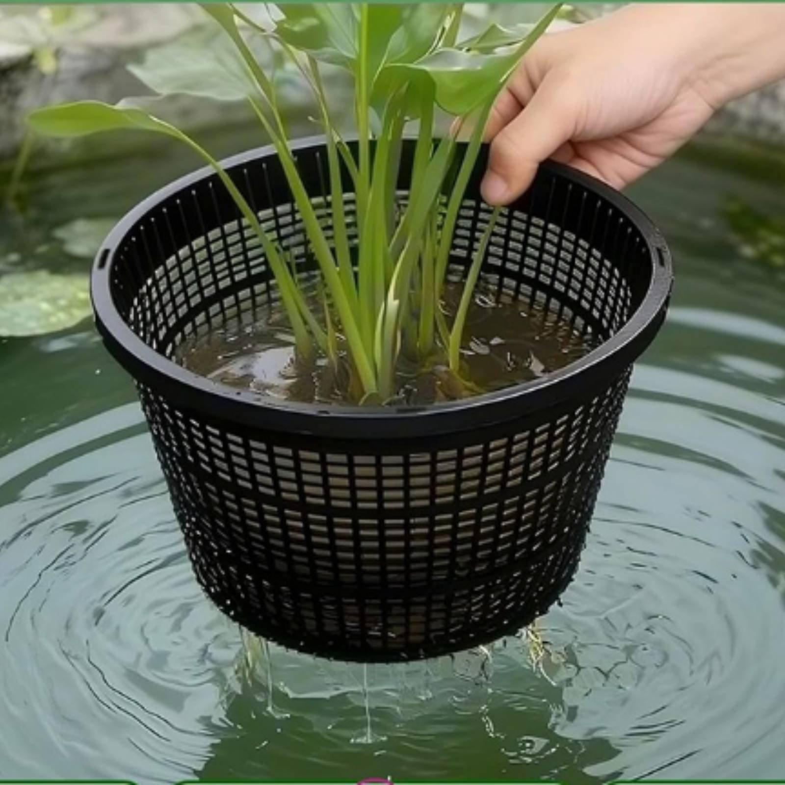 Hydroponic Planter Wide Rim Me - Plant Pot recension och pris